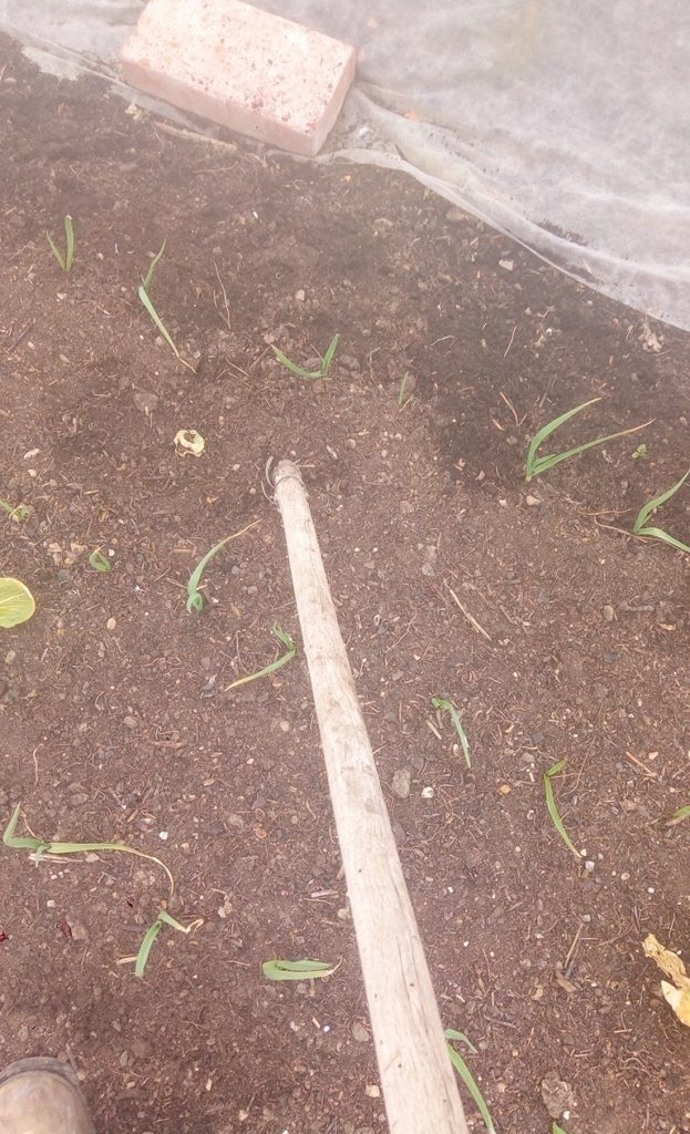 wireweeder2